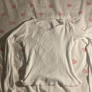 Långärmad tröja - Jättesöt långärmad tröja från brandy Melville😍 bra skick 