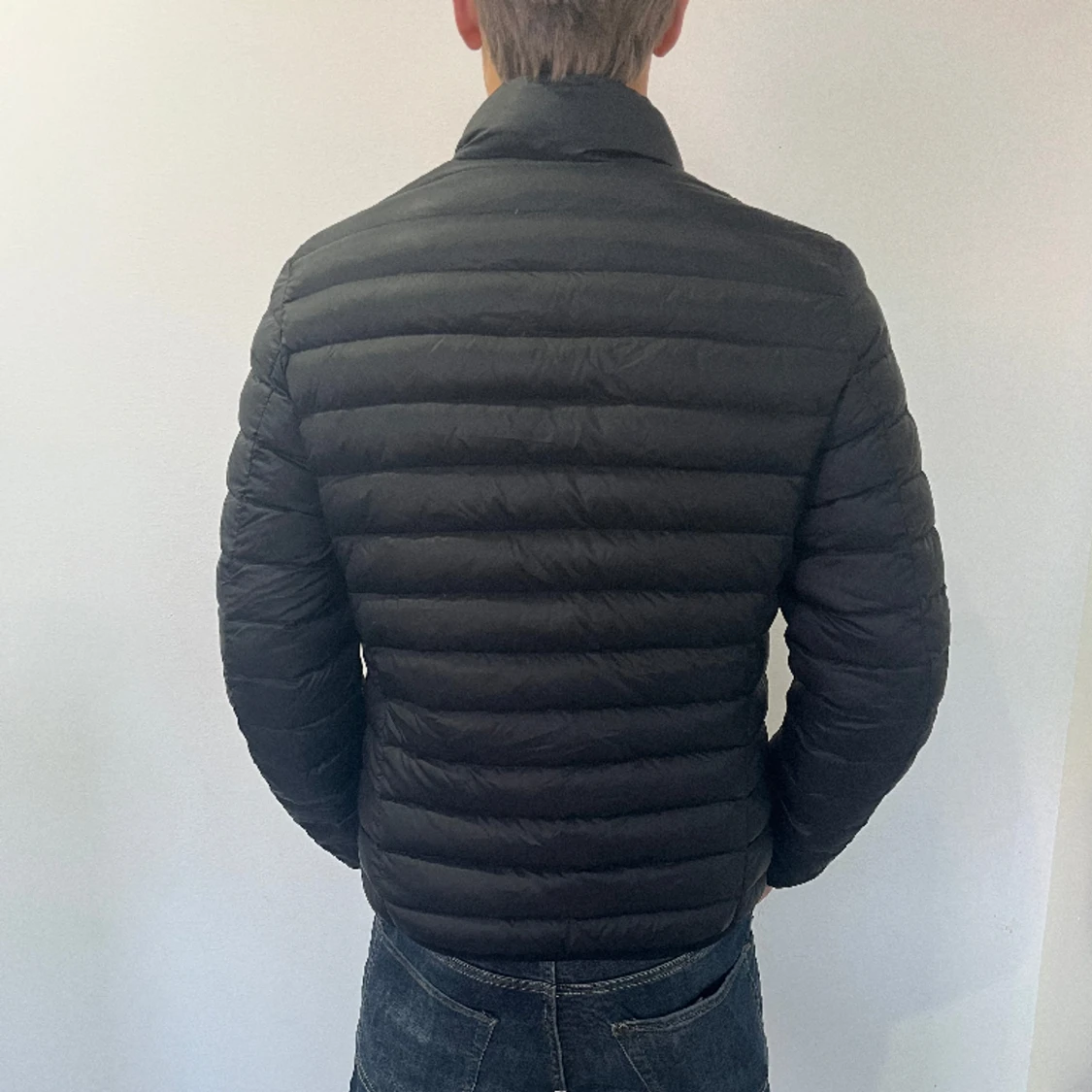 MASSIMO DUTTI - JACKA - 91