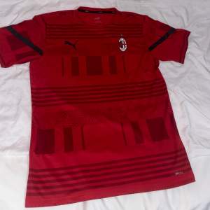 En Milan T-shirt som är väldigt fin och som skulle passa alla.
