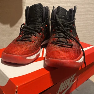 Jordan skor  - Fina Jordan skor . Stolek är 41 