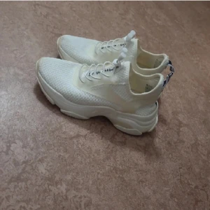 Steve madden sneakers  - Storlek 37 använda men fortfarande helt okej skick 