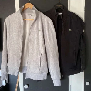 Lacoste cdg  - Lacoste Cdg 