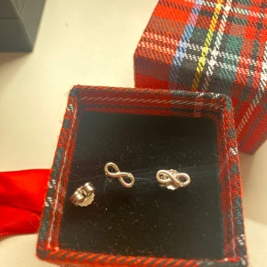 Infinity-örhängen - Helt oanvända. I äkta silver och diamanter. Köpta på Hallbergs guld. Kommer i en söt presentask. Frakt är inkluderat i priset🌹