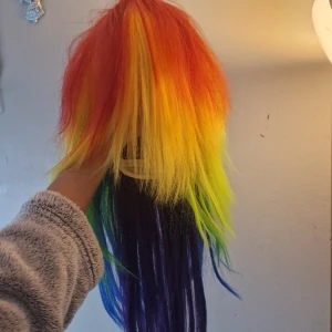 Regnbågs peruk - använd 1 gång under pride ostylad och oklippt. 