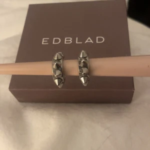 Örhängen med nitar  - Snygga loop örhängen med nitar. Från Edblad i nyskick. 