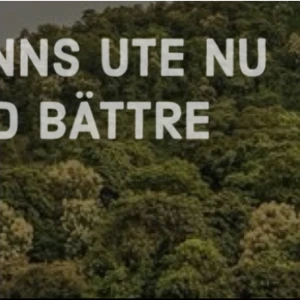 Byter plick konto - officialnordicbear