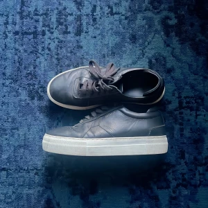 Axel Arigato Platform Sneaker  - Storlek 38, använda rätt mycket men är i väldigt bra skick ändå. Inga större slitningar förutom lite på hälen. Skriv för mer bilder.