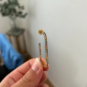 Sif Jakobs örhänge - Capizzi X grande, silver med 18k förgyllning, rainbow cubic zirkonia stenar. Använda Max 2 ggr. Fint skick men har tyvärr ingen Ask till dom. Nypris 1699kr