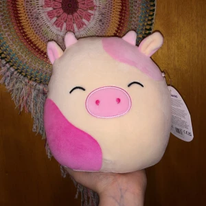 Squishmallows kossa  - Helt ny ur påse, bara fotad, fick fel Usa import 