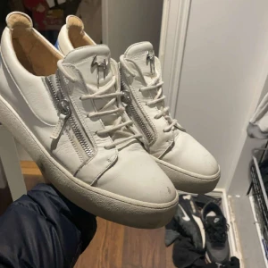 Zanottis  - Okej skydd men väldigt sällsynt färg Har bara skorna   Tar emot byten också 