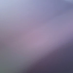 Pike blå polo Ralph lauren  - Bra