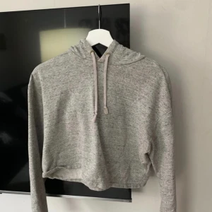 Ljusgrå croppad långärmad tröja  - Använt ett fåtal gånger men ser fortfarande bra ut. Luva & snöre  Croppad som går till lite över naveln på mig 