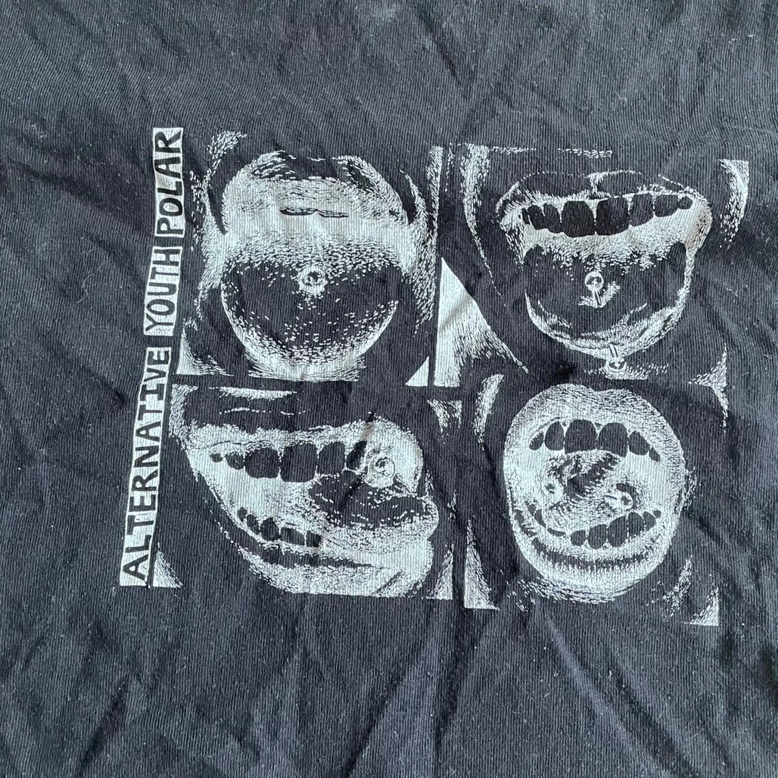 Polar Iggy t-shirt!  - 1