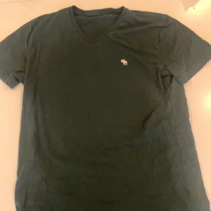 T-shirt från abercrombie&fitch - Inga Synliga defekter på tröjan.  Nypris 229kr Säljs för endast 39kr