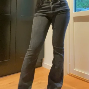 Jeans - Midrise jeans från gina. Stl 36 s