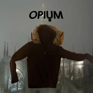 Fur hood zip up hoodie - Självgjord fur hood zip up hoodie S/M eller EU 5 Jag är 170cm/60kg