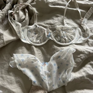 Lounge underwear set - Säljer ett set med bh och trosa i vit mesh med små blå blommor. Bh:n har bygel och justerbara axelband, och trosan är tunn och genomskinlig med volangkant. Perfekt för dig som gillar romantiska detaljer.
