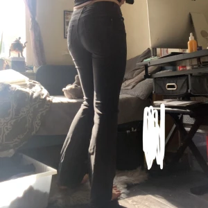 Jeans - Jättefina mörkgrå jeans, de passar perfekt på mig, s i byxor (ibland xs ibland m) 165cm. Passar nog xs-m. Hör av dig vid frågor eller intresse🌸🌸