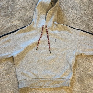 Grå hoodie Polo Sport med ränder - Snygg grå hoodie från Polo Sport med huva och coola snören i rött, vitt och svart. Svarta och röda ränder längs ärmarna ger en sportig vibe. Liten Polo-logga på bröstet. Perfekt för chill dagar eller när du vill ha en avslappnad stil.