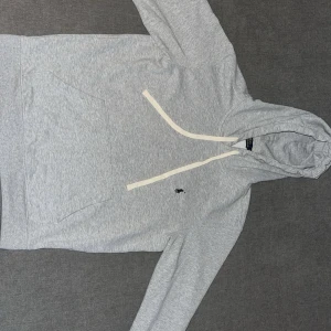 Grå hoodie från Polo Ralph Lauren - Snygg ljusgrå hoodie från Polo Ralph lauren i väldigt bra skick. 