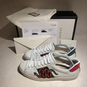 Gucci Ace - Gucci Ace me ormar |  hyfsat slitna (men liv finns kvar) - storlek 8 ~ 42 - finns OG box, dustbag, kvitto, kort - STEAL 🚨 @splurge