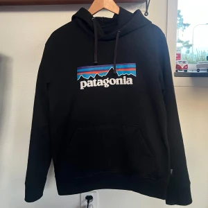 Patagonia hoodie - Säljer denna riktigt feta hoodien från Patagonia i storlek Small🔥 den är i riktigt bra skick!