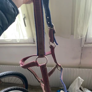 Grön och beige hästgrimma - Säljer en grön och beige hästgrimma med justerbara spännen i metall. Grimskaftet har ett randigt mönster och passar perfekt för dig som gillar stilrena detaljer till hästen.