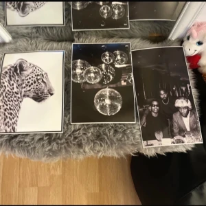 Snygga planscher - eopard: 22,5•31 Diskokulor: 22•31 Artister: 20•35,5 Köps tillsammans!!