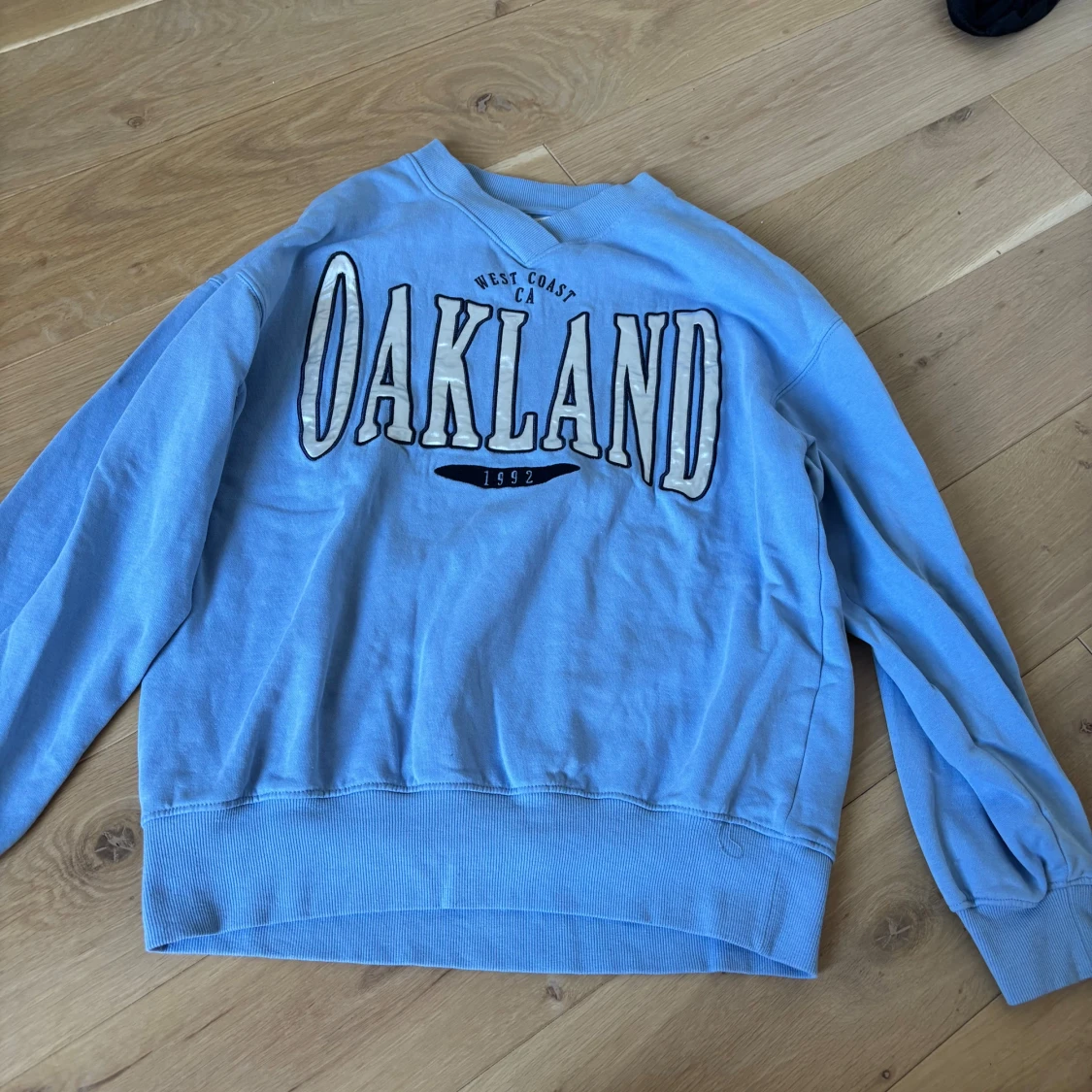 Blå sweatshirt OAKLAND H&M
