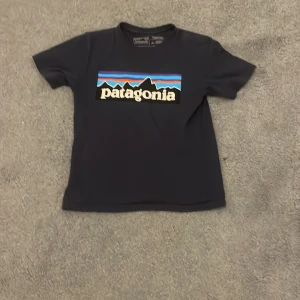 Marin blå t-shirt från Patagonia - Säljer en marin blå t-shirt från Patagonia i ekologisk bomull. T-shirten har ett färgglatt tryck med bergsmotiv och Patagonia-logga på framsidan. Perfekt för en avslappnad stil. Köpte för 700 priset kan diskuteras