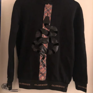 Svart sweatshirt Glorious med orm - Cool svart sweatshirt från Glorious med ett stort ormtryck framtill och rutigt band i mitten. Muddar med Glorious-logga i beige. Långärmad och perfekt för dig som vill sticka ut med en unik detalj.