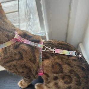 Glittrigt regnbågsfärgat kattsele - Säljer en glittrig kattsele i regnbågsfärger med rosa detaljer och blingiga stenar. Selen har justerbara spännen och en liten charm med pärla och vinge. Perfekt för dig som vill att din katt ska sticka ut på promenaden!