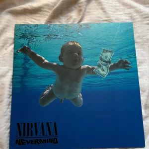 Vinylskiva 'Nevermind' av Nirvana - Säljer en vinylskiva av Nirvanas album 'Nevermind”. Den har inga defekter och pris kan diskuteras 
