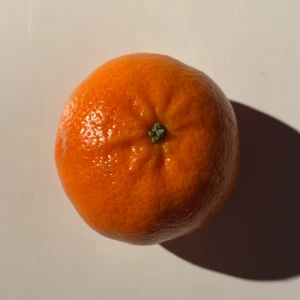 En mandarin - Jag säljer den här mandarinen för jag har  tyckt att den ska få en ny ägare och därmed säljer jag den. Den kan andvändas till flera stycken saker t. ex. en kickar ett skohorn en hårborste och som en kompis för dig som behöver såna skriv gärna om du är intresserad.
