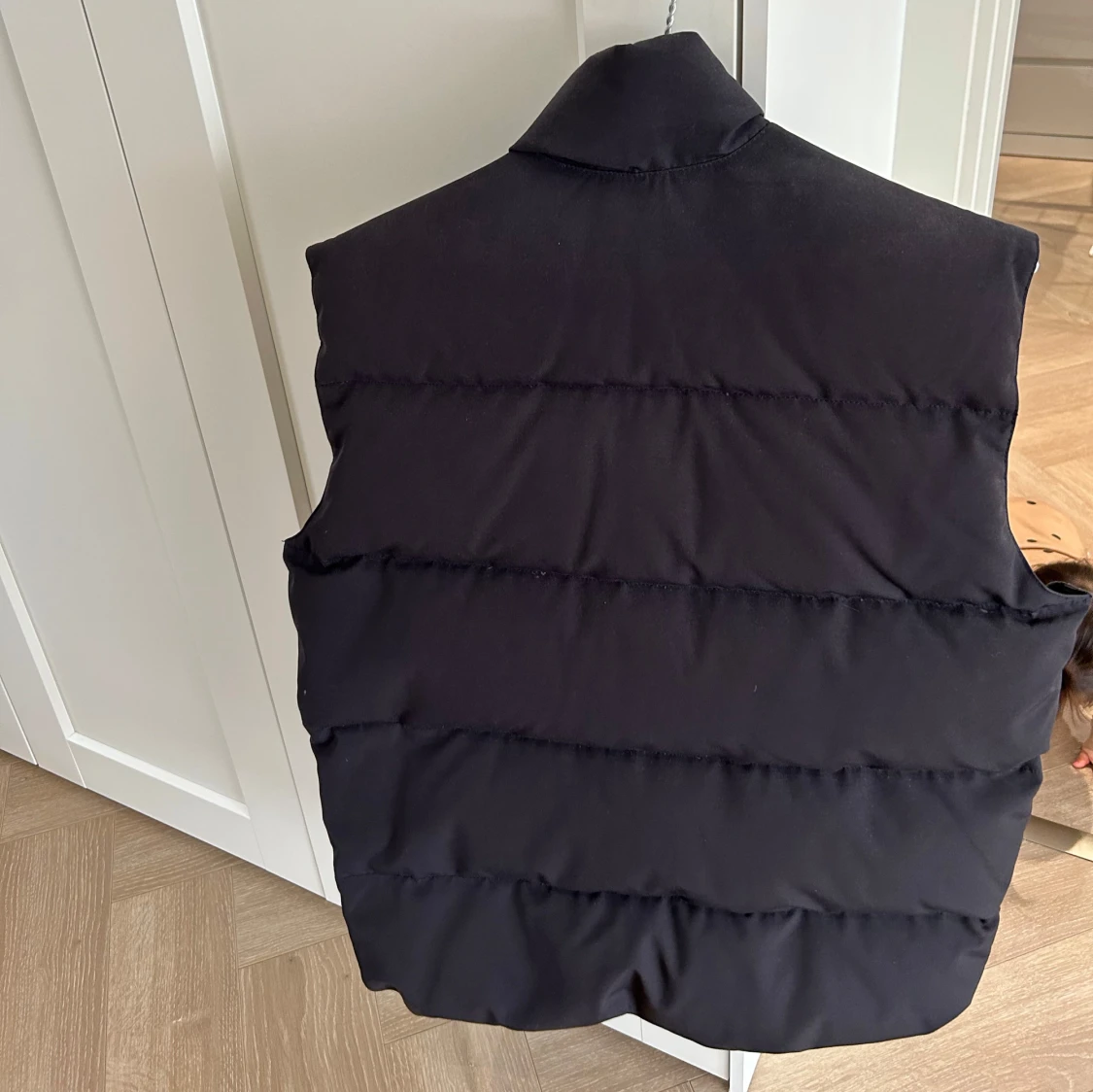 Svart dunväst Canada goose  - 1