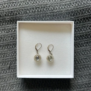 Silverfärgade örhängen med stenar - Snygga silverfärgade örhängen med rund form och glittrande stenar runt en större klar sten i mitten. .