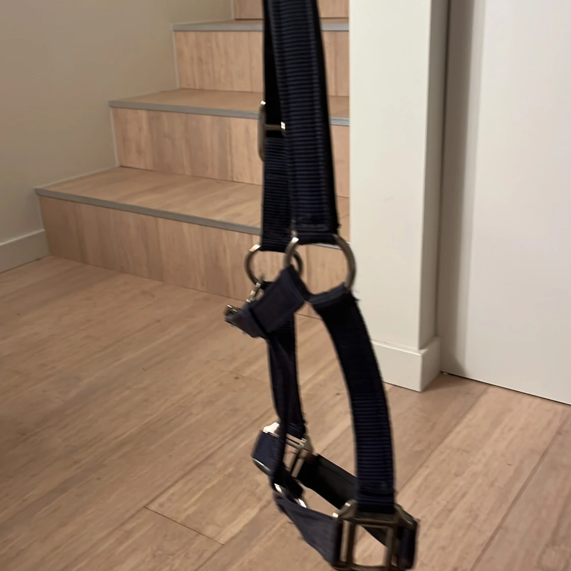 Mörkblå/Marinblå grimma - 3