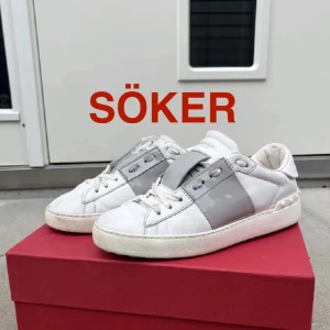 SÖKER VALENTINOS STORLEK 44-46 - Söker dessa valentino skor i storlek 44-46 för max 800kr (behöver ej vara i topp skick men acceptabelt skick iaf)
