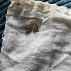 Guldiga cirkelörhängen från Pilgrim - Köpt begagnat och är från Pilgrim. Har dock ingen stämpel men det är inte ovanligt att de saknas på pilgrimsmycken. Små repor finns då de är använda men inget som syns om man inte kollar noga. 