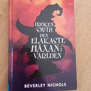 Fröken Smith: Den elakaste häxan i världen - Boken har knappt används och är som ny