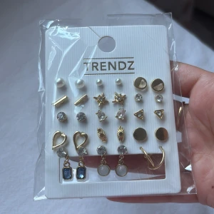 Set med 15 örhängen från Trendz - Snyggt set med 15 olika örhängen i guld- och silverfärg från Trendz. Mix av former som hjärtan, stjärnor, pärlor, cirklar och trianglar. Några med blå eller vita stenar, andra med glittriga detaljer. Perfekt för att mixa och matcha till olika looks.