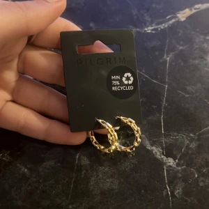 Guldörhängen från Pilgrim - Snygga guldörhängen från Pilgrim med en kedjedesign. Tillverkade av minst 75% återvunnet material, vilket gör dem både stiliga och miljövänliga. Perfekta för att ge en elegant touch till din outfit.