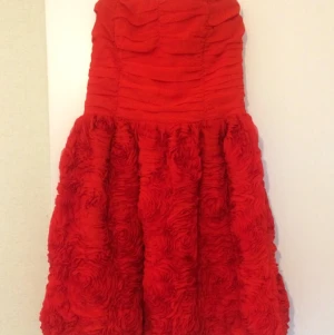  - Superpopulär och slutsåld klänning från H&M Garden Collection i stl 36. Använd en gång på Julafton i fjol. 