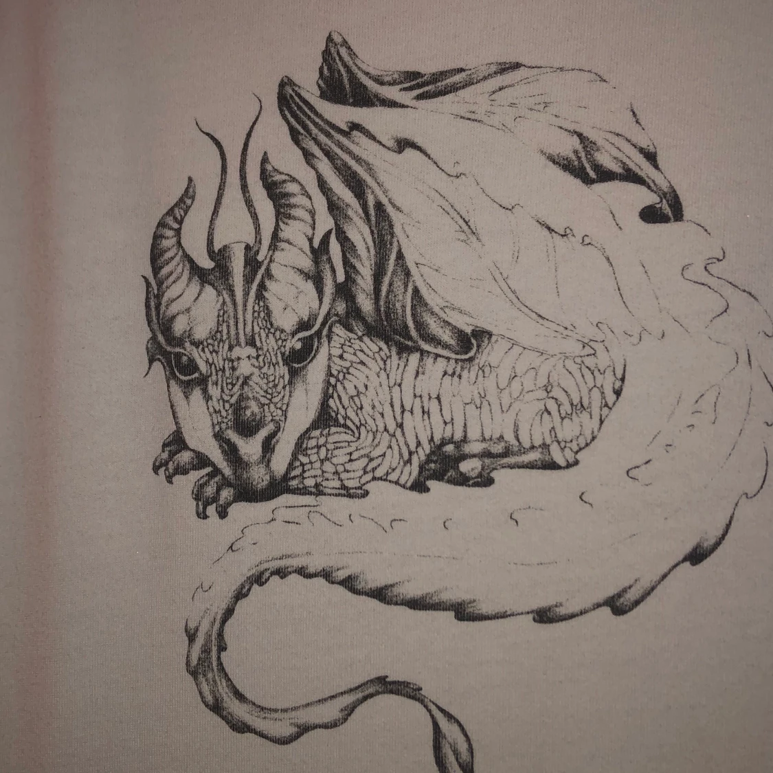 Sweatshirt med drake  - 91