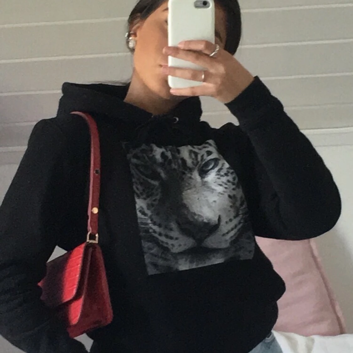 THE COOL ELEPHANT, LEO