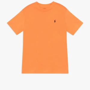 T-shirt - Fin t-shirt från ralp lauren i barnstorlek, skulle säga att de passar M, endast andvänd 5-6 gånger 