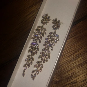 Örhängen från Lily and Rose - Endast använda en gång på studenten 2017, så i toppskick!