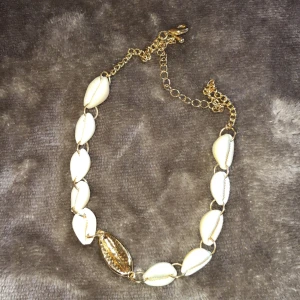 Halsband  - I princip oanvänt halsband/choker med snäckor 
