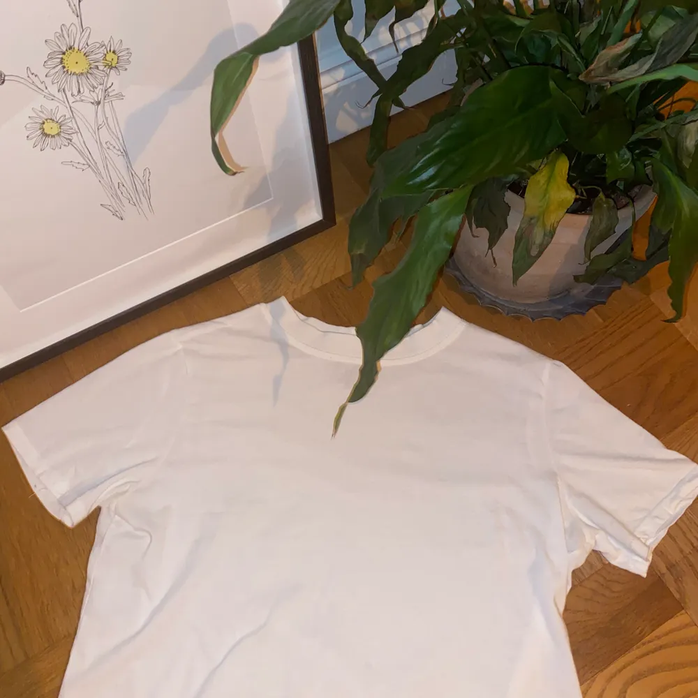 Säljer min vita t-shirt från nly trend med en tunn krage. Superfin och skön! Är storlek L men väldigt liten i storleken, skulle säga att den är mer som en S. . T-shirts.