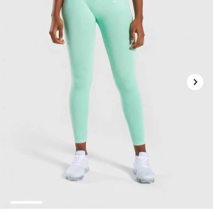 Gymshark vital seamless leggnings - Aldrig använda gymshark tights. Finns att hämta i Lund😊